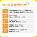 아이샵안경콘택트 네이버블로그