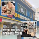 형제동물의료센터 이미지