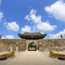 청산 단풍나무길 이미지