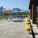 양수 하나로 약국 이미지