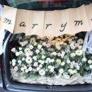 인플라워 이미지