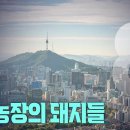 명운농장 Daum카페