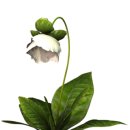 춘이농장 이미지