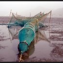 하전어촌체험마을 이미지