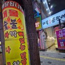 삼일카센타 | 대구 두루치기 맛집 꼼장어 구이말고 꼼장어 두루치기 대물숯불곰장어