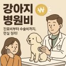 강아지 병원비-진료비부터 수술비까지, 현실 정리!