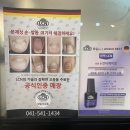 네일더감동 이미지