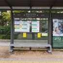 우성버스 이미지