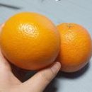 오렌지 티스토리