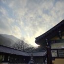 스테이고도 | 동해 삼화사 템플스테이 후기(+스님과 일출 보기)