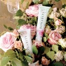 보나덴탈 이미지