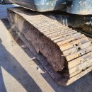 서진농장 이미지