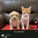 333 | 333 (+더글로우2026 후기)