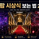 K-팝 시상식 보는 법 2026｜MAMA·그래미·아이하트라디오 뮤직 어워즈 차이 정리