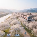 매화다방 - 시흥시 매화1로 18 | 매화다방