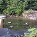 지리산예치출렁다리펜션 이미지