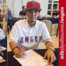 리반