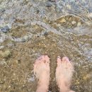 탑동길손 이미지