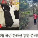 마니주면 돼지