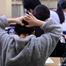 강솔개발 이미지