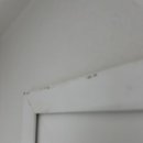 주공8단지경로당 | 서울시 노원구 중계동 주공아파트 8단지 입주청소 후기