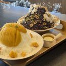 허니몽이 | 제천맛집 달콤커피 충북제천의림지점 국내여행 명소에서 식도락까지 즐거운 곳