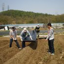 동원농장 이미지