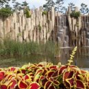 오정식물원 이미지