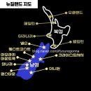 🇳🇿뉴질랜드여행 일정은 이 글 하나로 끝냅니다❗️일주일, 2주, 한달 자유 캠핑카&렌트카 코스 추천 ++북섬...