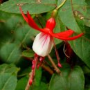 시인의마음 이미지