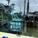사거리식당 | 장성사거리맛집 향숙이네식당 후기 | 내돈내산 황태정식·황태찜 현지 인기 맛집 추천