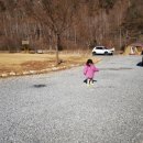 한울오토캠핑장 이미지