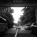 다산멘토태권도장 이미지