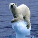 누리과일 이미지