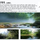 (주)로얄관광 이미지