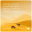 해빙데이 이미지