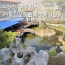만나동산친구들어린이집 | 천안 아름다운정원화수목 4월 솔직후기 / 수선화 개화 상태, 주차, 입장료