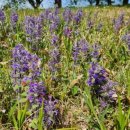 석조농장 | [일상] 카라반 캠핑 부여 관광 간단 후기(2026.04.18)