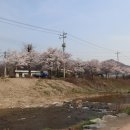 덕풍천서로 이미지