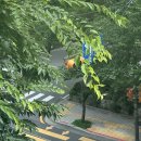 서울대입구역 U-도서관 이미지