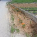 규암면사무소 이미지