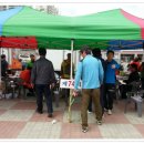 홍성초등학교 이미지