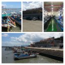 율포물양장 이미지