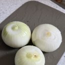 자갈치 꼼장어