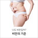 [비만의 기준은 뭘까?] 이미지