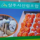 상주시산림조합