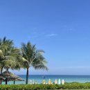 초록도마뱀 이미지