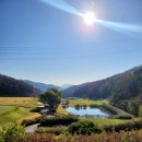 크로바 골프연습장 이미지