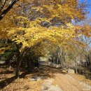 구의공원 옆(동절기 11월 1일 ~ 4월30일) | 태백 가을 여행 | 한강 발원지 '태백 검룡소' 11월 방문기