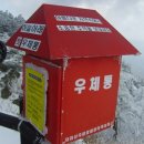 우체국 이팝나무 이미지